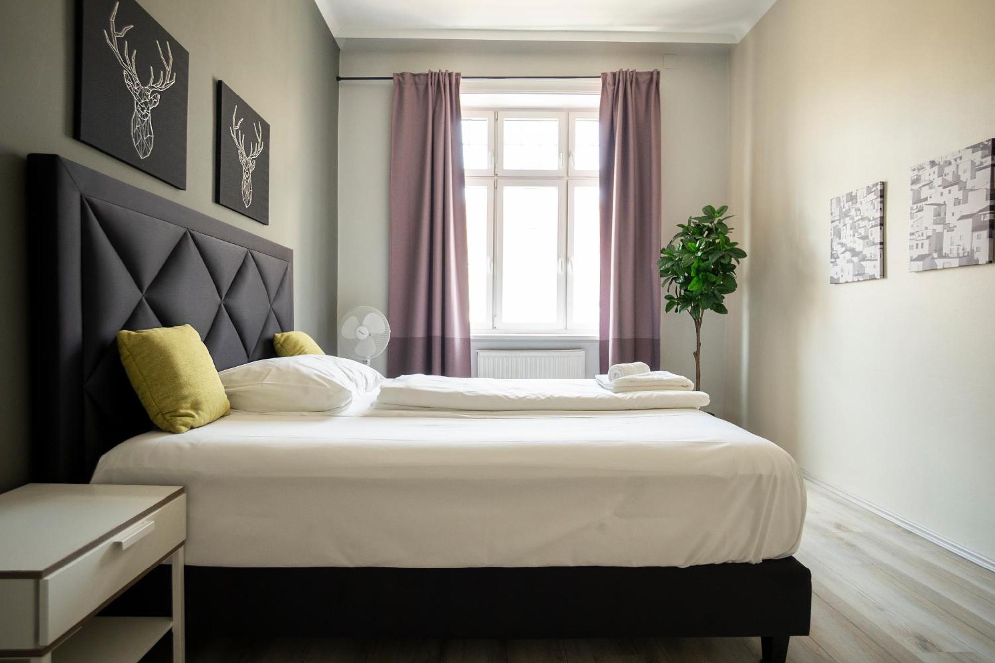 Brand New Renovated Appartment Near Augarten ウィーン エクステリア 写真